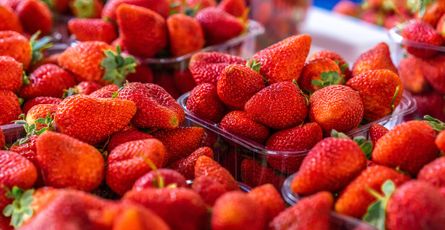 How Much Can You Sell Strawberries For? (A Pricing Guide)